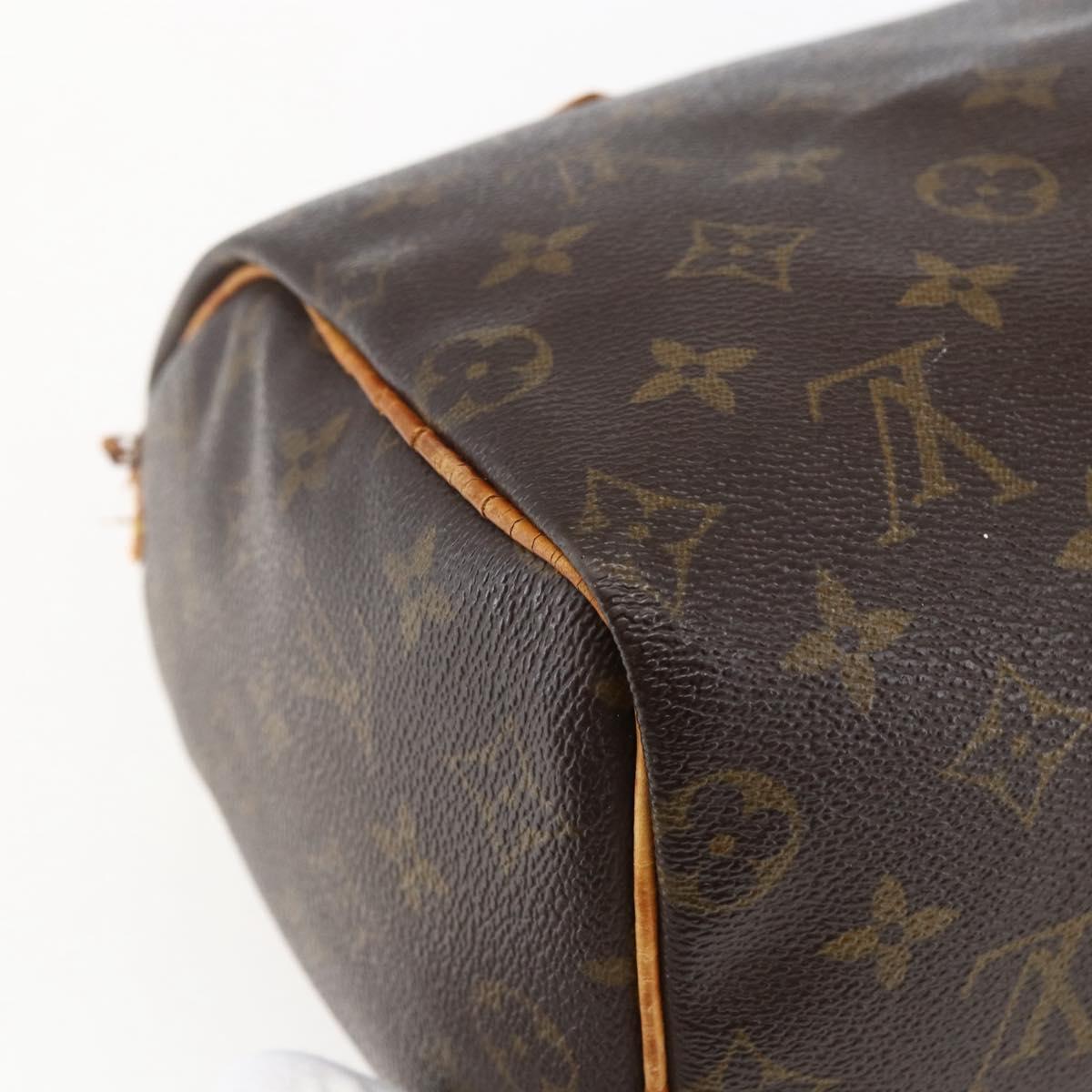 Monogram Speedy 25 Hand Bag