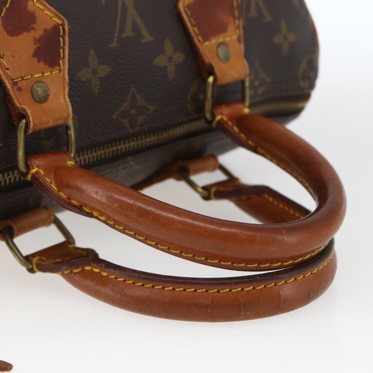 Monogram Speedy 25 Hand Bag